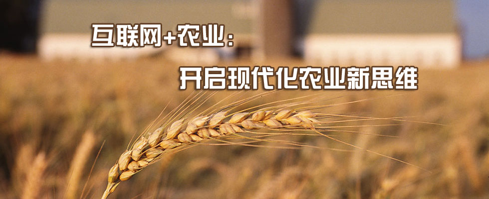 蔬菜互聯(lián)網(wǎng)最新消息(互聯(lián)網(wǎng)蔬菜平臺(tái)有哪些)