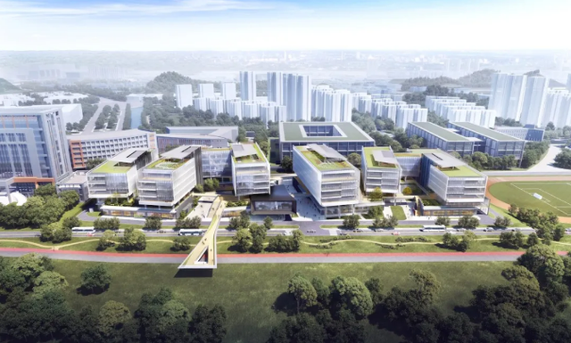 深圳高新區(qū)新聞網(wǎng)站建設(shè)(深圳市高新區(qū)開(kāi)發(fā)建設(shè)公司)