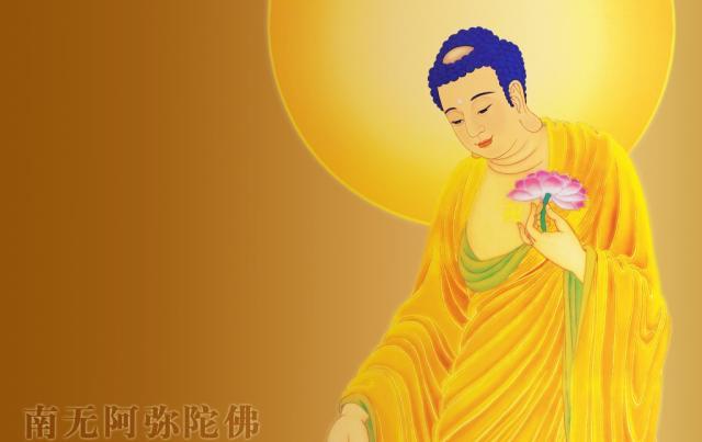 凈土宗網(wǎng)站建設(凈宗網(wǎng)中國凈宗網(wǎng)站)