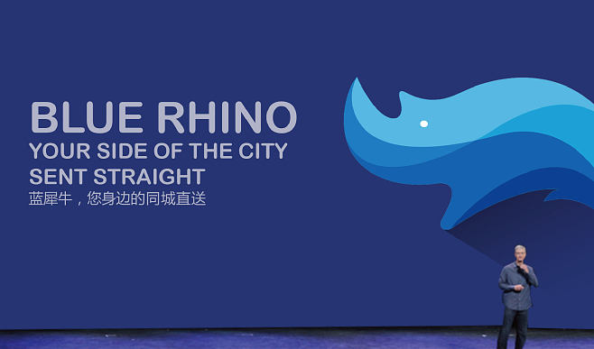 網(wǎng)站建設犀牛(犀牛信息技術有限公司)