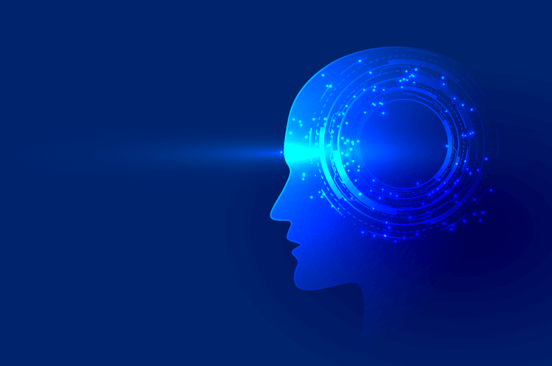 網(wǎng)站建設(shè)開發(fā)大腦(網(wǎng)站建設(shè)開發(fā)大腦的方法)