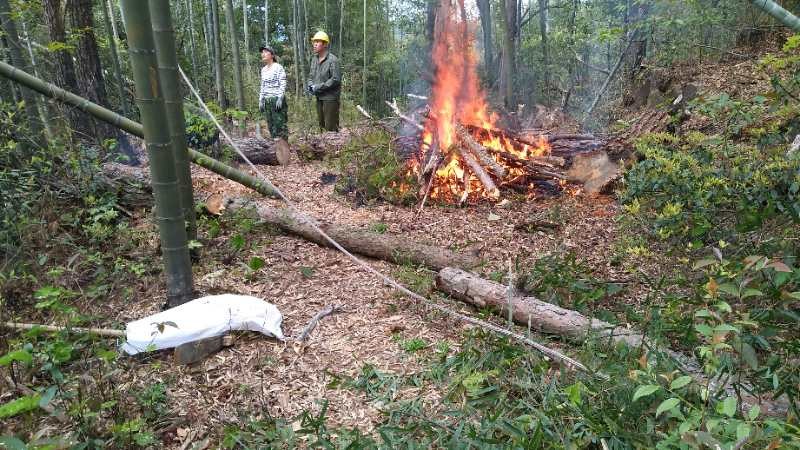 馬頭山互聯(lián)網(wǎng)新聞(馬山新聞網(wǎng)今日新聞)