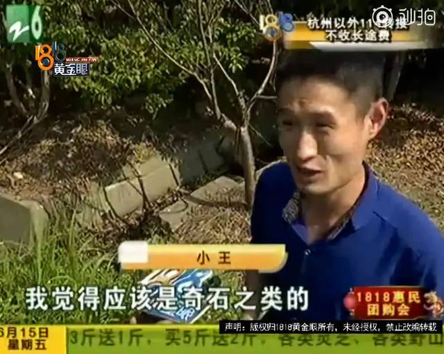 互聯(lián)網(wǎng)公司奇葩新聞(互聯(lián)網(wǎng)公司作惡)