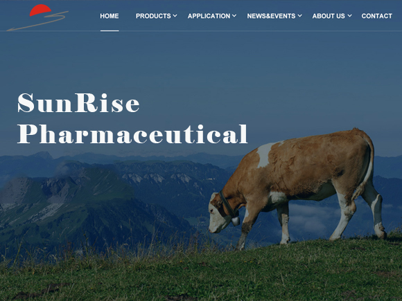 新疆商務(wù)網(wǎng)站建設(shè)(新疆政務(wù)服務(wù)網(wǎng)商標(biāo)注冊)