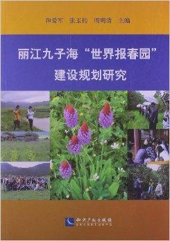 麗江網(wǎng)站建設(shè)的簡單介紹