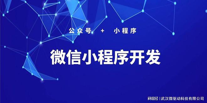 小程序訂閱信息開發(fā)(微信小程序開發(fā)者信息)
