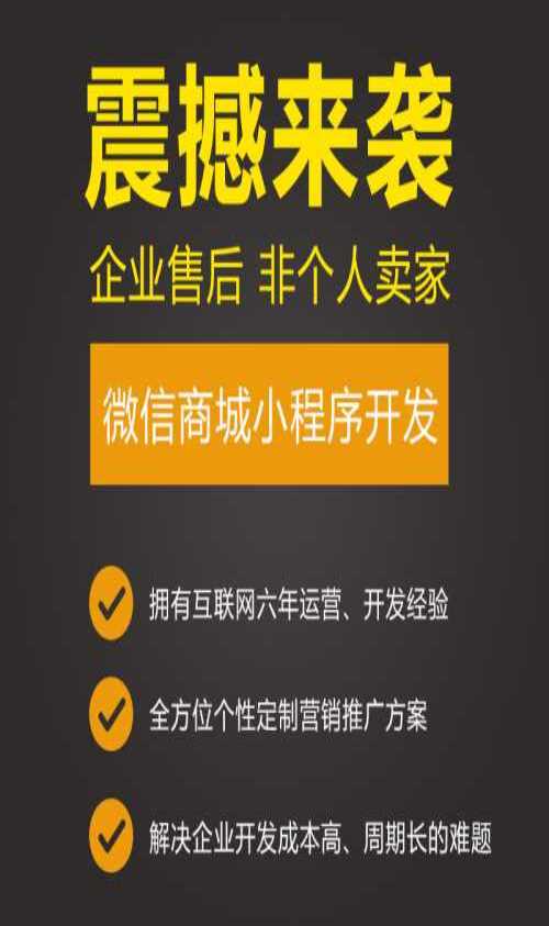 微信電商小程序開發(fā)公司(微信電商小程序開發(fā)公司是哪家)