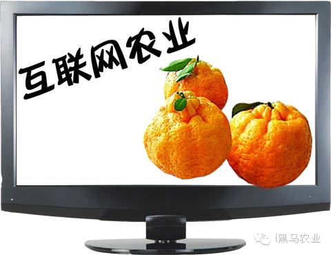 互聯(lián)網(wǎng)農(nóng)資圈的新聞(最新的關于農(nóng)業(yè)的新聞)