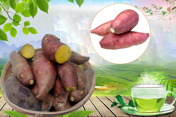 高州特產網站建設(高州百姓網免費發(fā)布信息網)