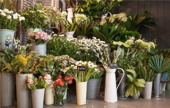 線上花卉小程序開發(fā)(線上花卉小程序開發(fā)流程)