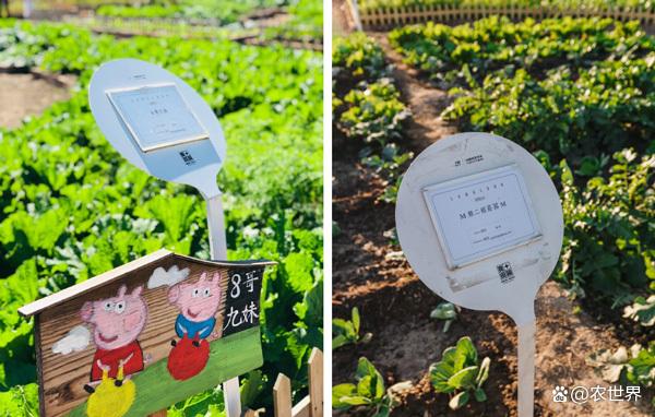 運(yùn)城智慧農(nóng)場小程序開發(fā)(運(yùn)城智慧農(nóng)場小程序開發(fā)方案)