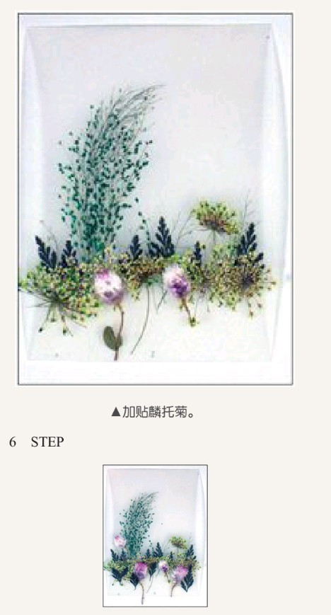 建設(shè)網(wǎng)站制作干花(建設(shè)網(wǎng)站制作干花模板)