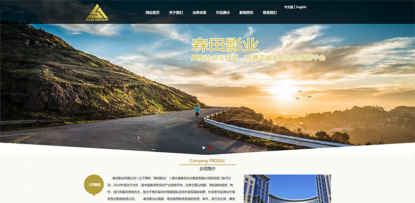 國外電影網(wǎng)站建設(shè)(國外有哪些好的電影網(wǎng)站)