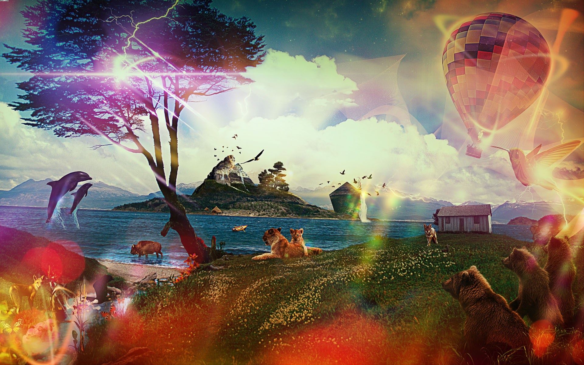 動物世界互聯(lián)網(wǎng)新聞?lì)l道(動物世界這個(gè)平臺上新聞聯(lián)播)