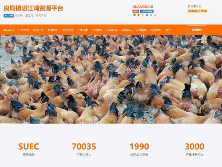 肇慶的網(wǎng)站建設(肇慶網(wǎng)站建設維護)