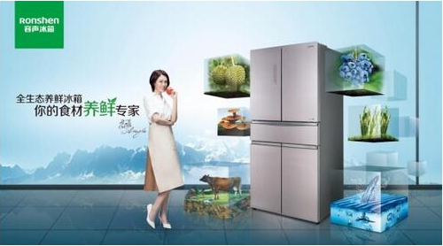 容聲冰箱網(wǎng)站建設(shè)(容聲冰箱官網(wǎng)商城下載)