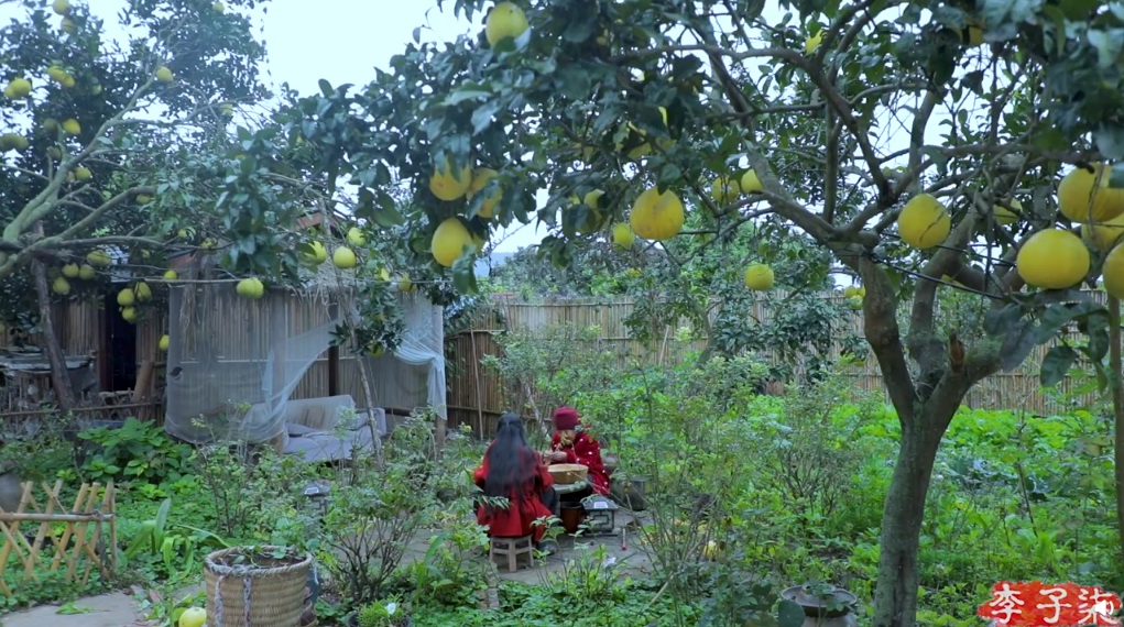 農(nóng)家院互聯(lián)網(wǎng)新聞(農(nóng)家院怎么宣傳有效)