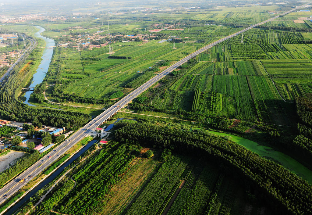 廊坊網(wǎng)站建設(shè)信息(廊坊建設(shè)工程交易信息網(wǎng))