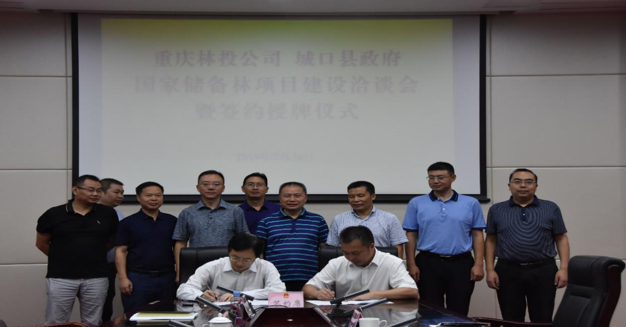 城口縣網(wǎng)站建設(shè)服務(wù)(城口縣網(wǎng)站建設(shè)服務(wù)公司)