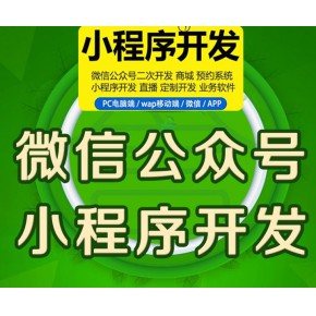 遼寧小程序開發(fā)文檔(微信小程序開發(fā)文檔官方)