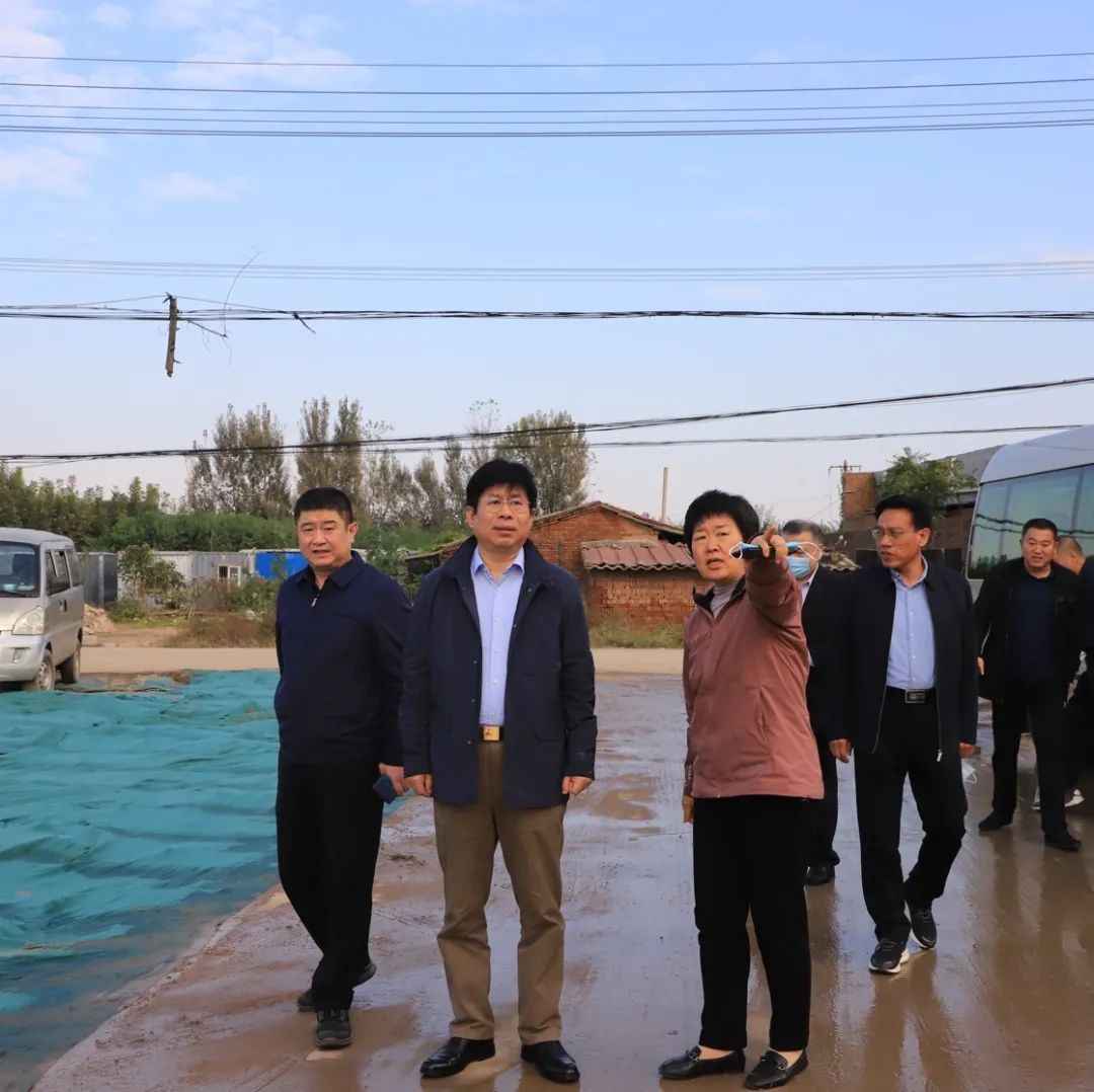 寧晉附近網(wǎng)站建設(shè)(寧晉附近網(wǎng)站建設(shè)銀行網(wǎng)點(diǎn))