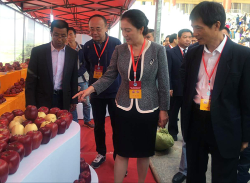 隴南西部工業(yè)互聯(lián)網(wǎng)新聞(隴南西部工業(yè)互聯(lián)網(wǎng)新聞最新消息)