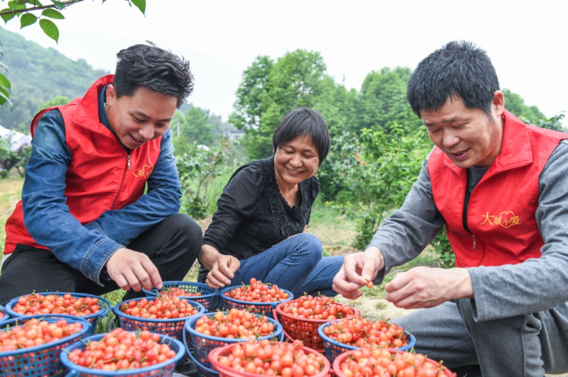 互聯(lián)網果農新聞(互聯(lián)網+果農創(chuàng)新創(chuàng)業(yè)計劃書)