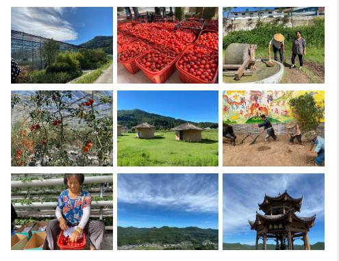 閬中互聯(lián)網(wǎng)新聞(閬中互聯(lián)網(wǎng)新聞網(wǎng))