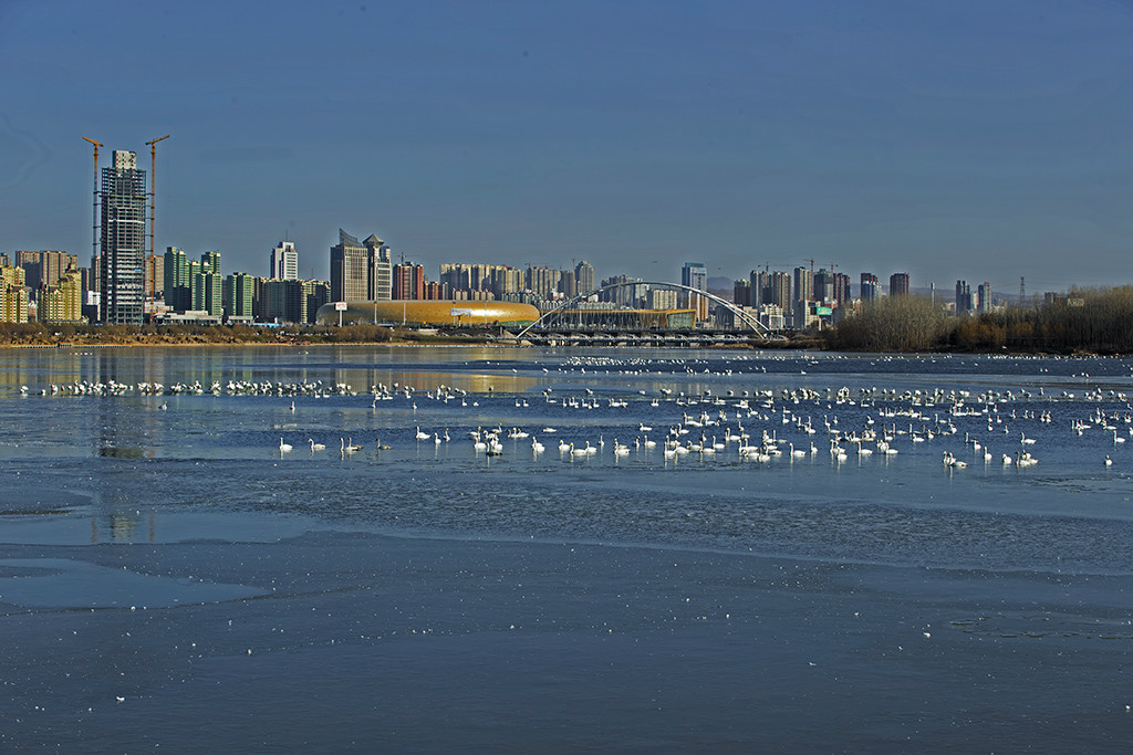 關(guān)于三門峽網(wǎng)站建設(shè)的信息