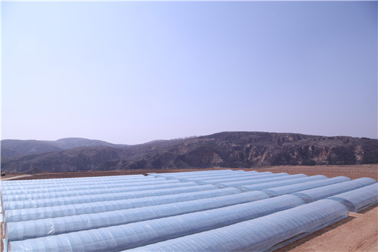 府谷互聯(lián)網(wǎng)村新聞(府谷縣新聞網(wǎng)最新新聞)