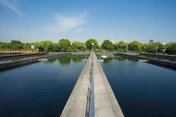 掇刀區(qū)定安網站建設招標(掇刀區(qū)定安網站建設招標公告)