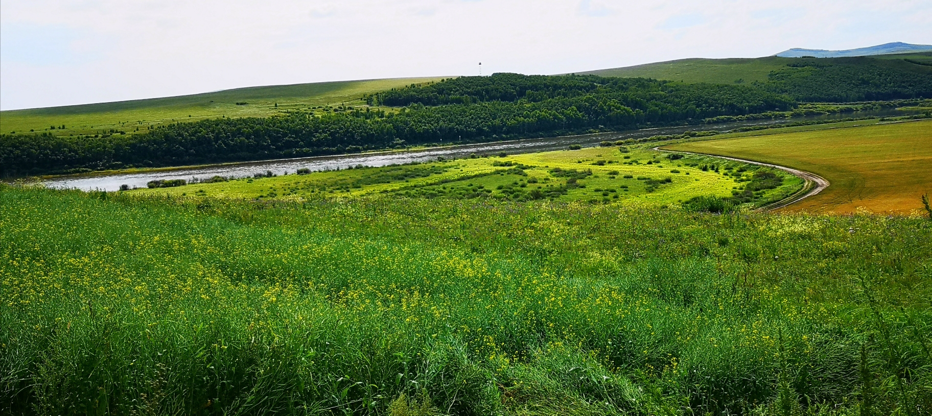 額爾古納網(wǎng)站建設(shè)方案(額爾古納政府網(wǎng)站通知公告)