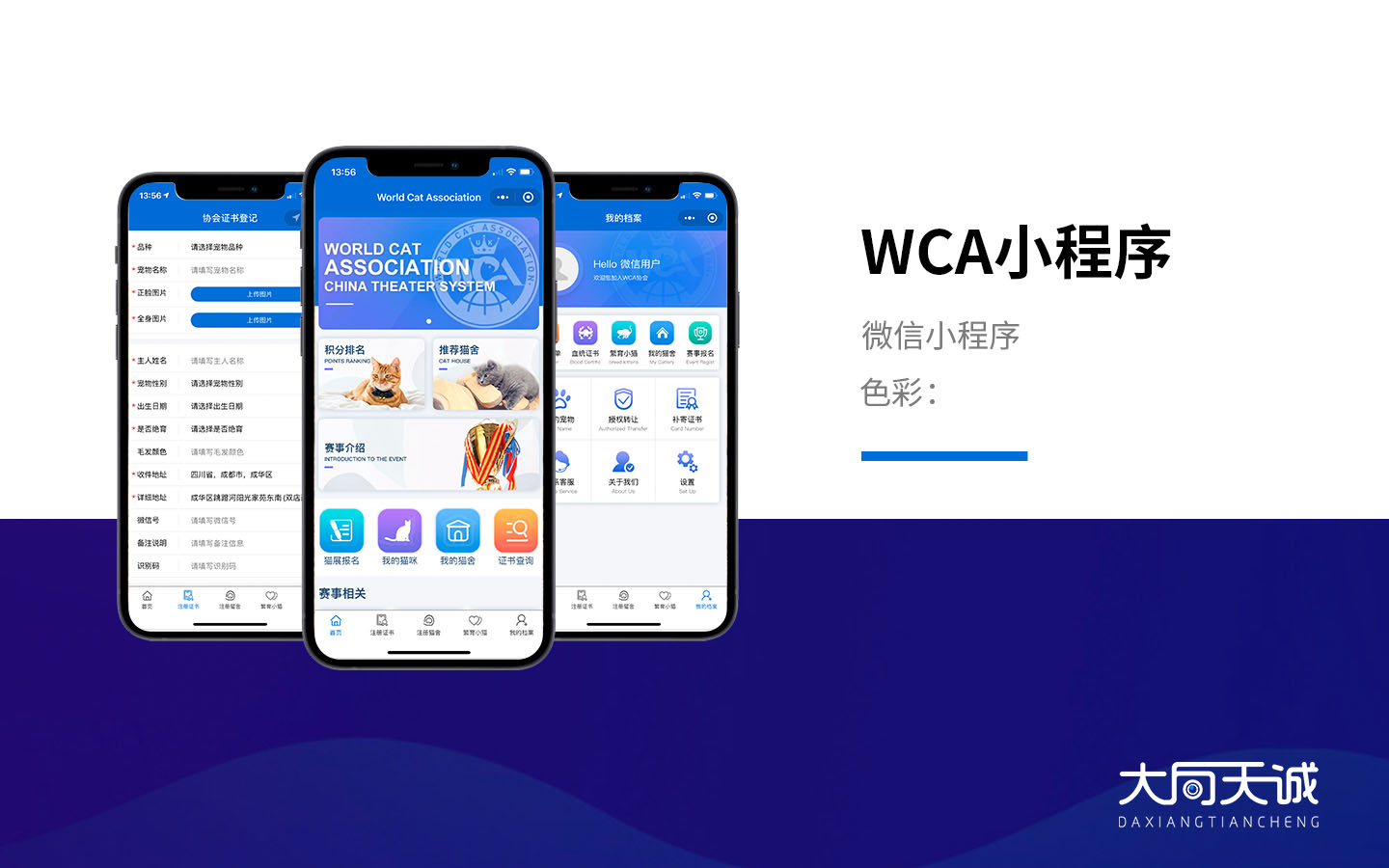 關(guān)于南沙小程序開發(fā)定制排名的信息