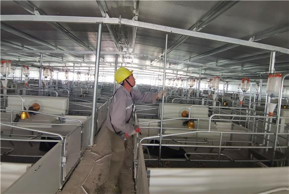 把豬場搬上互聯(lián)網的新聞(豬場是哪個互聯(lián)網公司的稱呼)