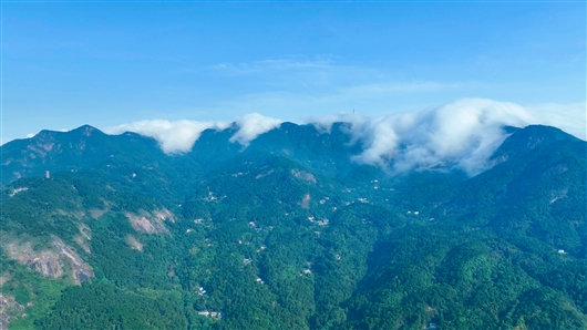 衡山互聯(lián)網(wǎng)新聞(衡山互聯(lián)網(wǎng)新聞官網(wǎng))