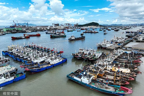 舟山互聯(lián)網(wǎng)最新消息(舟山網(wǎng)絡(luò)科技有限公司)