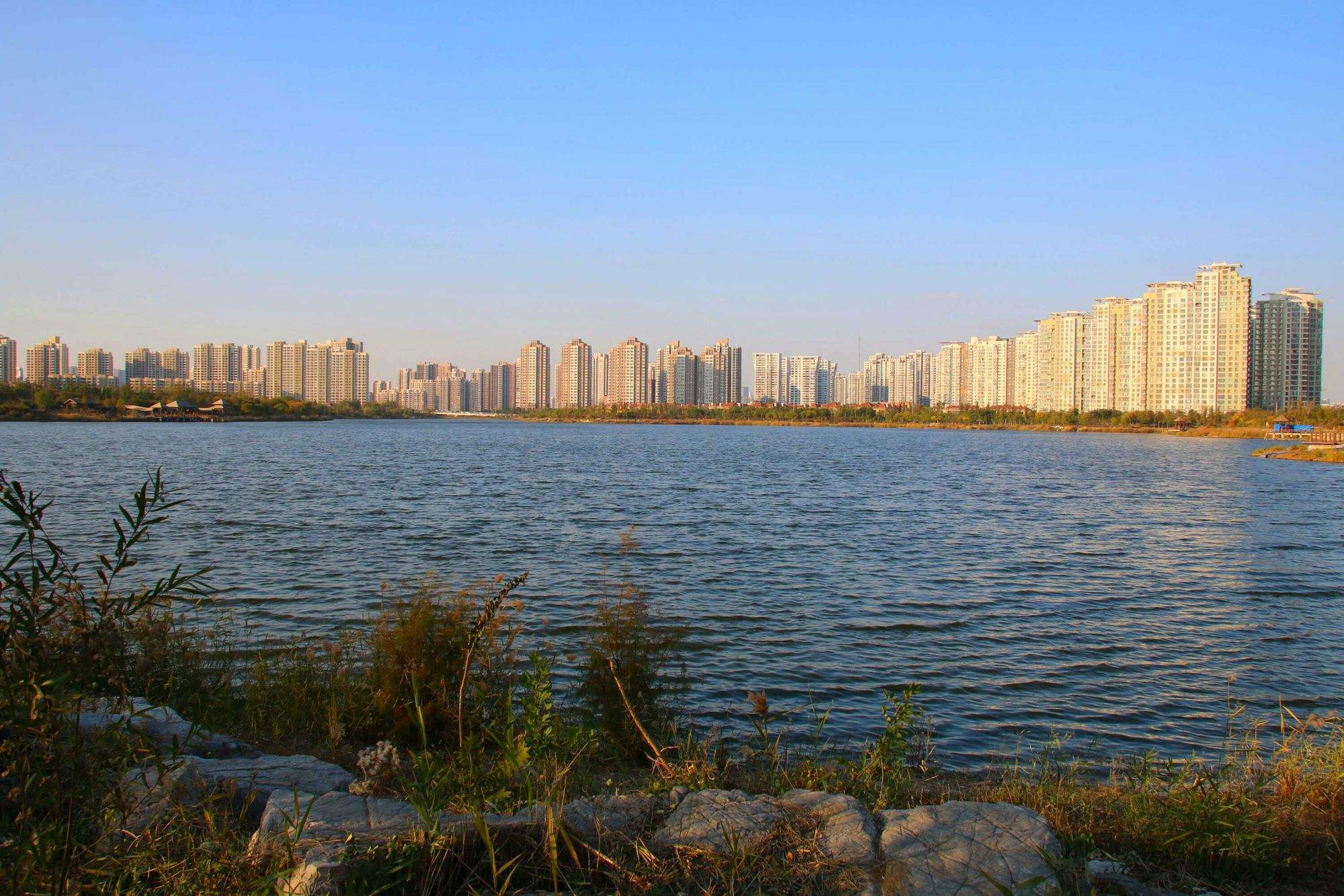 天津梅江網(wǎng)站建設(shè)(天津市梅江國際會展中心)