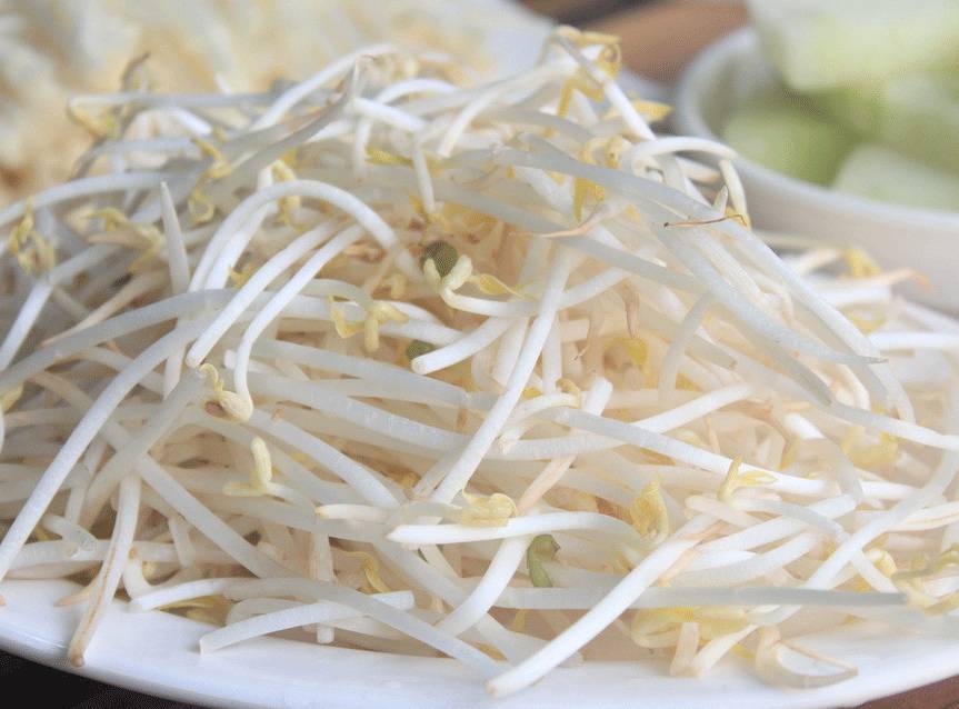 豆芽網(wǎng)站建設(shè)(豆芽網(wǎng)站有病毒嗎)