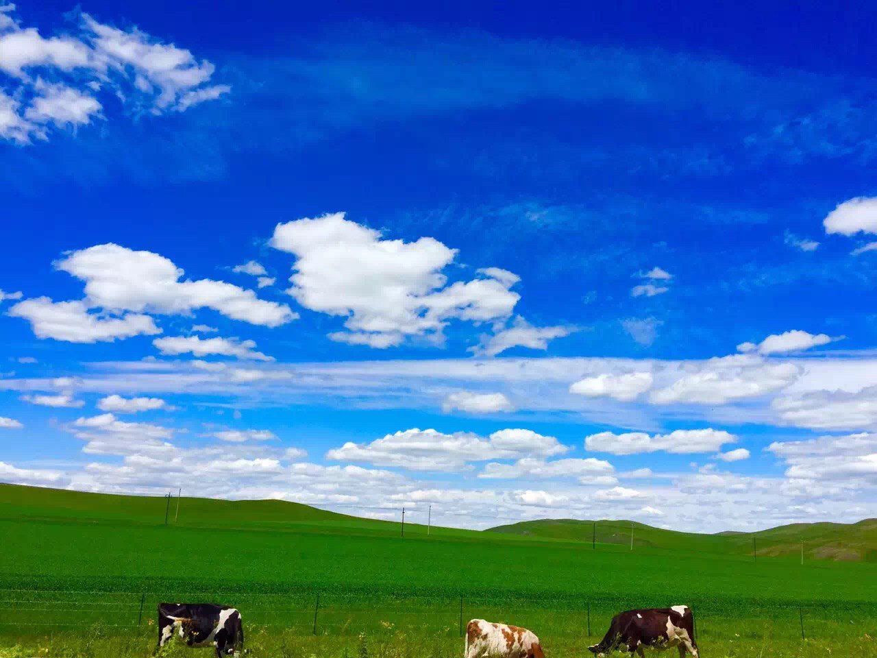 呼倫貝爾網(wǎng)站建設(shè)的簡單介紹