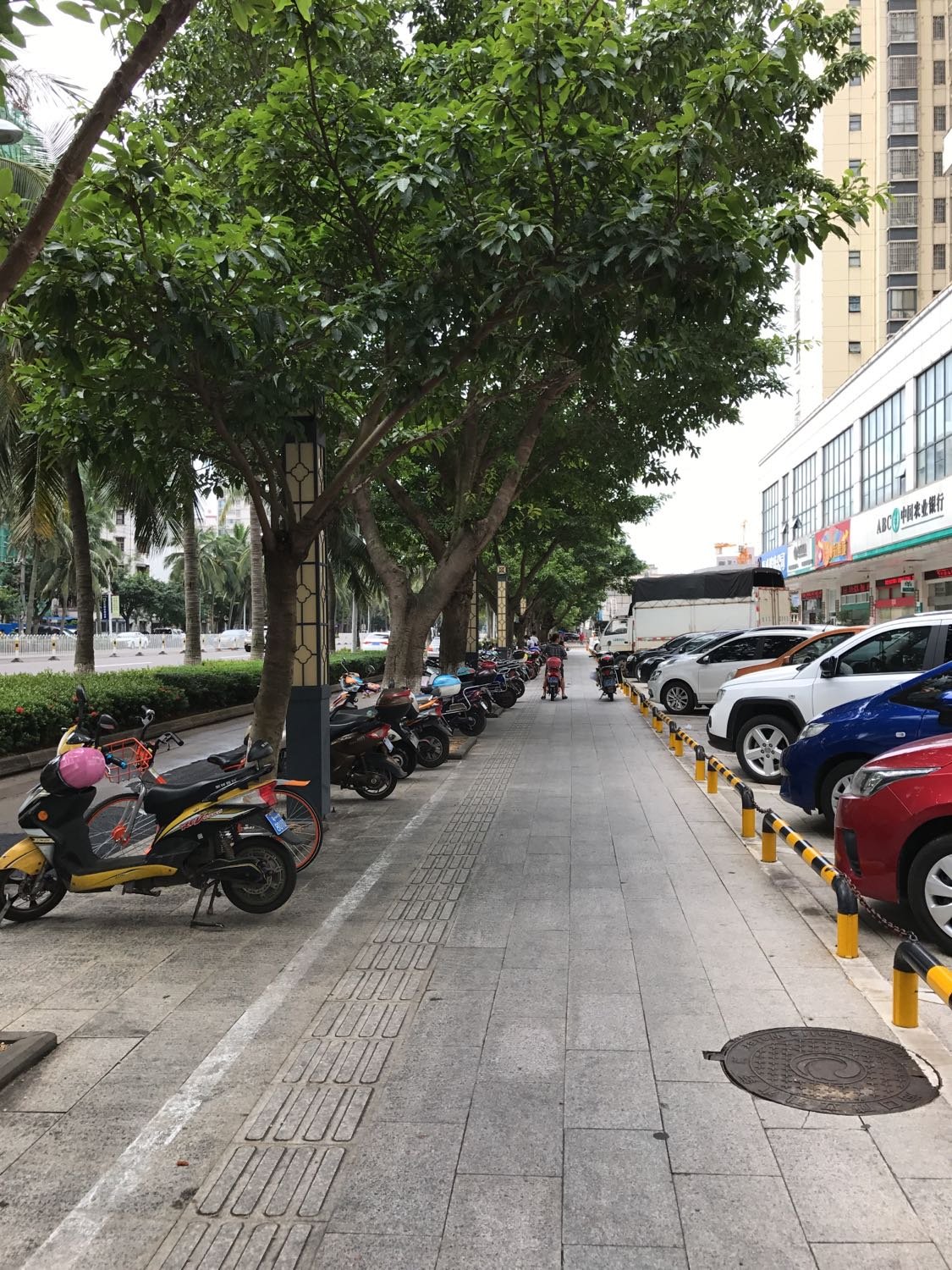 海口網(wǎng)站建設(shè)路(?？诰W(wǎng)站建設(shè)解決方案)