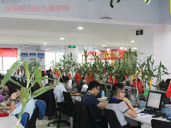 朝陽市網(wǎng)站建設(朝陽市網(wǎng)上辦事大廳)