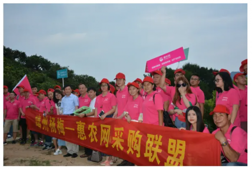 靖州電商新聞網(wǎng)站建設(shè)(靖州電子商務(wù)進(jìn)農(nóng)村綜合示范)