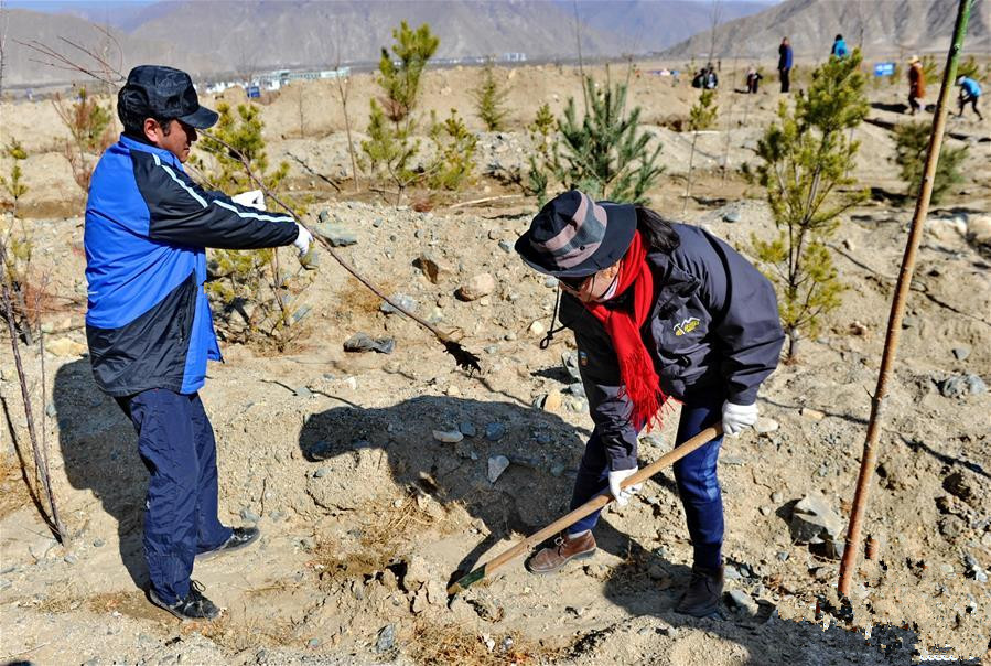 西蔵自治區(qū)建設(shè)廳網(wǎng)站(西省住房和城鄉(xiāng)建設(shè)廳綜合服務(wù)中心)