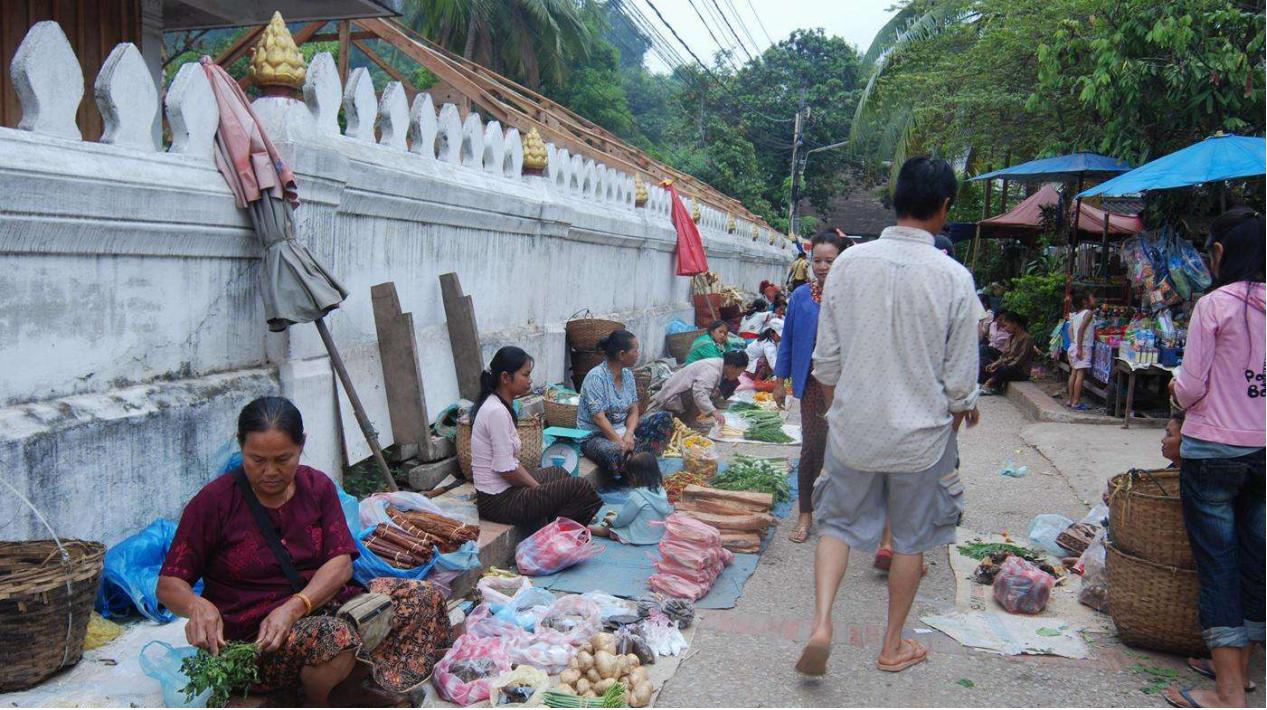 老撾農(nóng)村網(wǎng)站建設(shè)(老撾農(nóng)村網(wǎng)站建設(shè)項(xiàng)目)