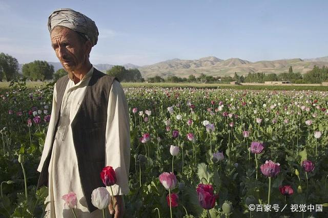 新聞學(xué)互聯(lián)網(wǎng)三大公害(互聯(lián)網(wǎng)國內(nèi)傳統(tǒng)的三大新聞門戶網(wǎng)站)