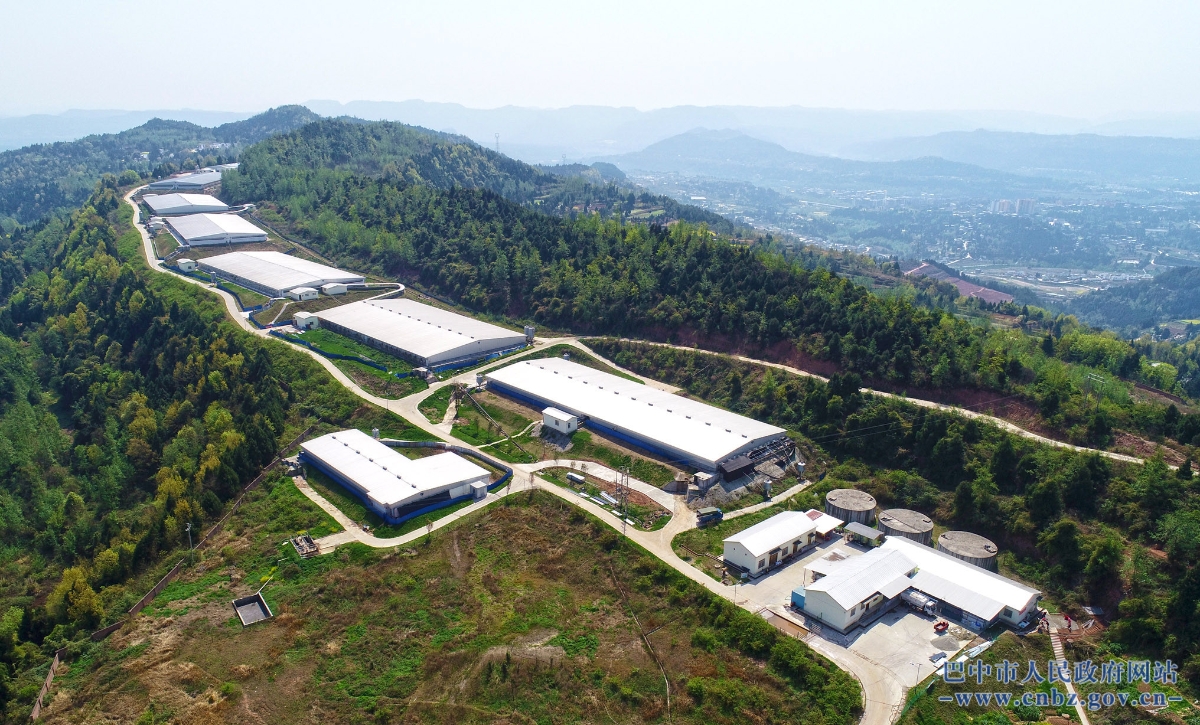 巴中企業(yè)網(wǎng)站建設(shè)(巴中制作網(wǎng)站的公司)