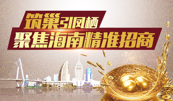 海南運(yùn)營(yíng)網(wǎng)站建設(shè)前景(海南運(yùn)營(yíng)網(wǎng)站建設(shè)前景如何)