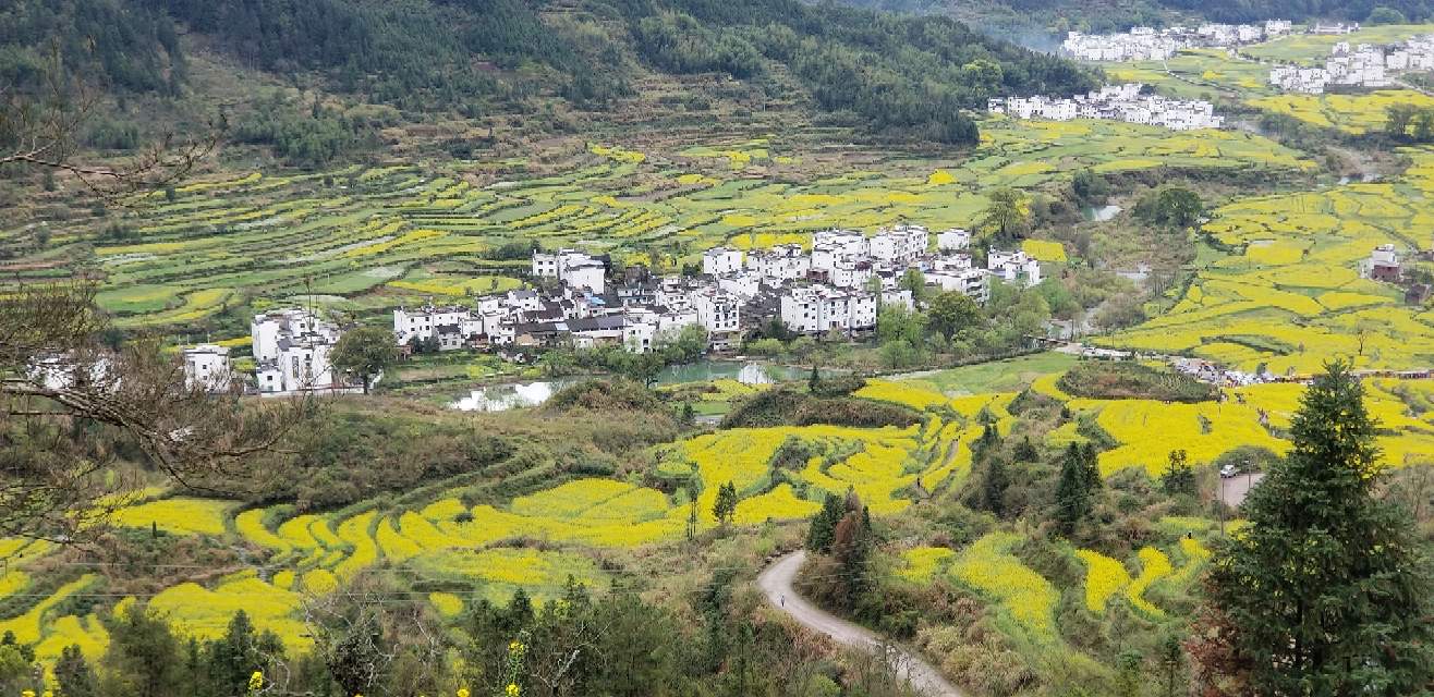 婺源網(wǎng)站建設(shè)(婺源建設(shè)項目新聞)